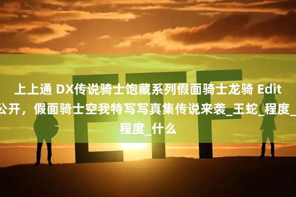 上上通 DX传说骑士饱藏系列假面骑士龙骑 Edition公开，假面骑士空我特写写真集传说来袭_王蛇_程度_什么